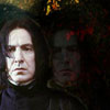 Severus Snape comes out of the Path