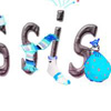 Ssis's New Year