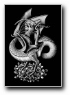 Dragon by Escher